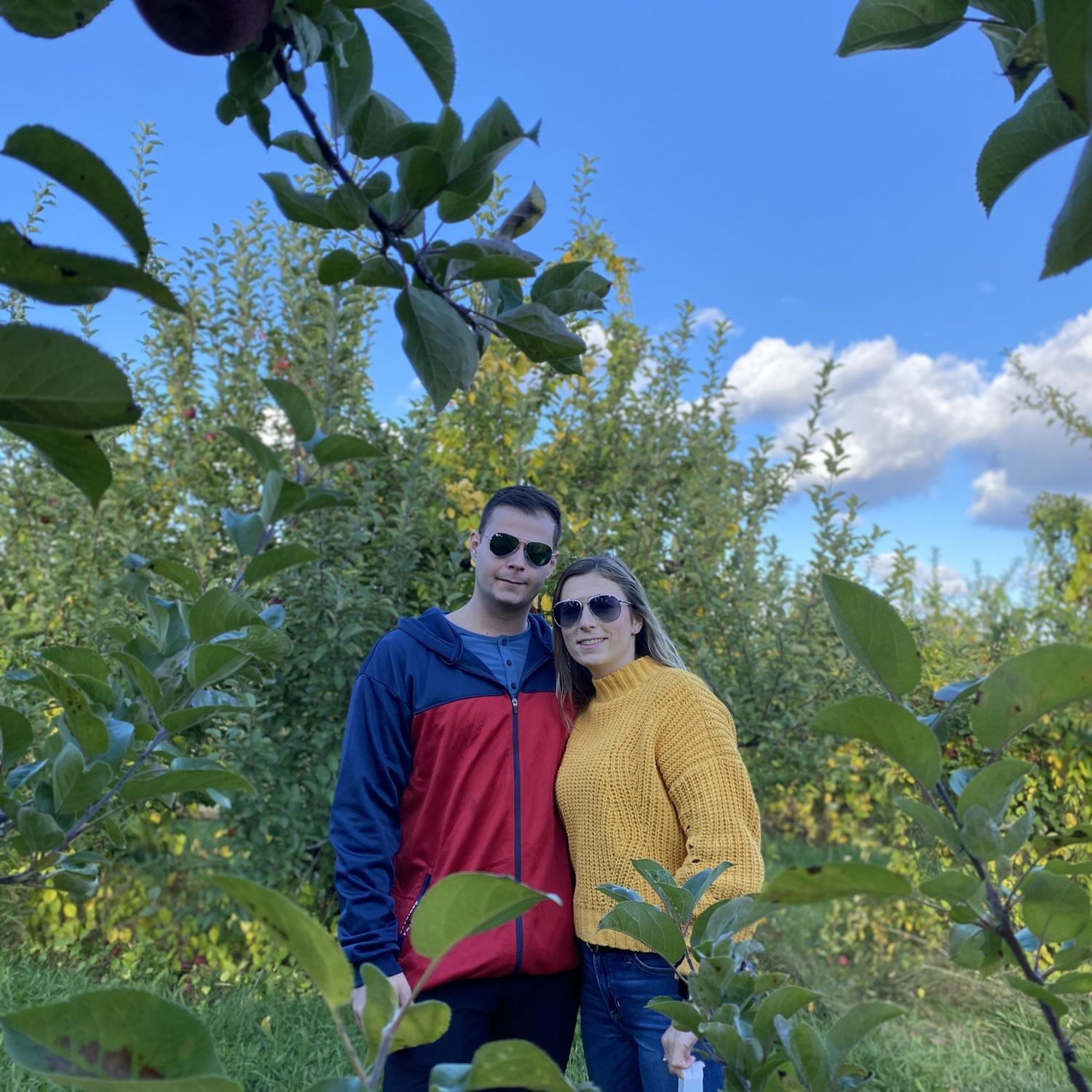 Apple picking 2023