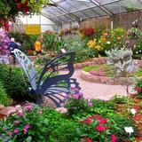 The Mackinac Island Butterfly House 🌉