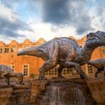 Fernbank Museum