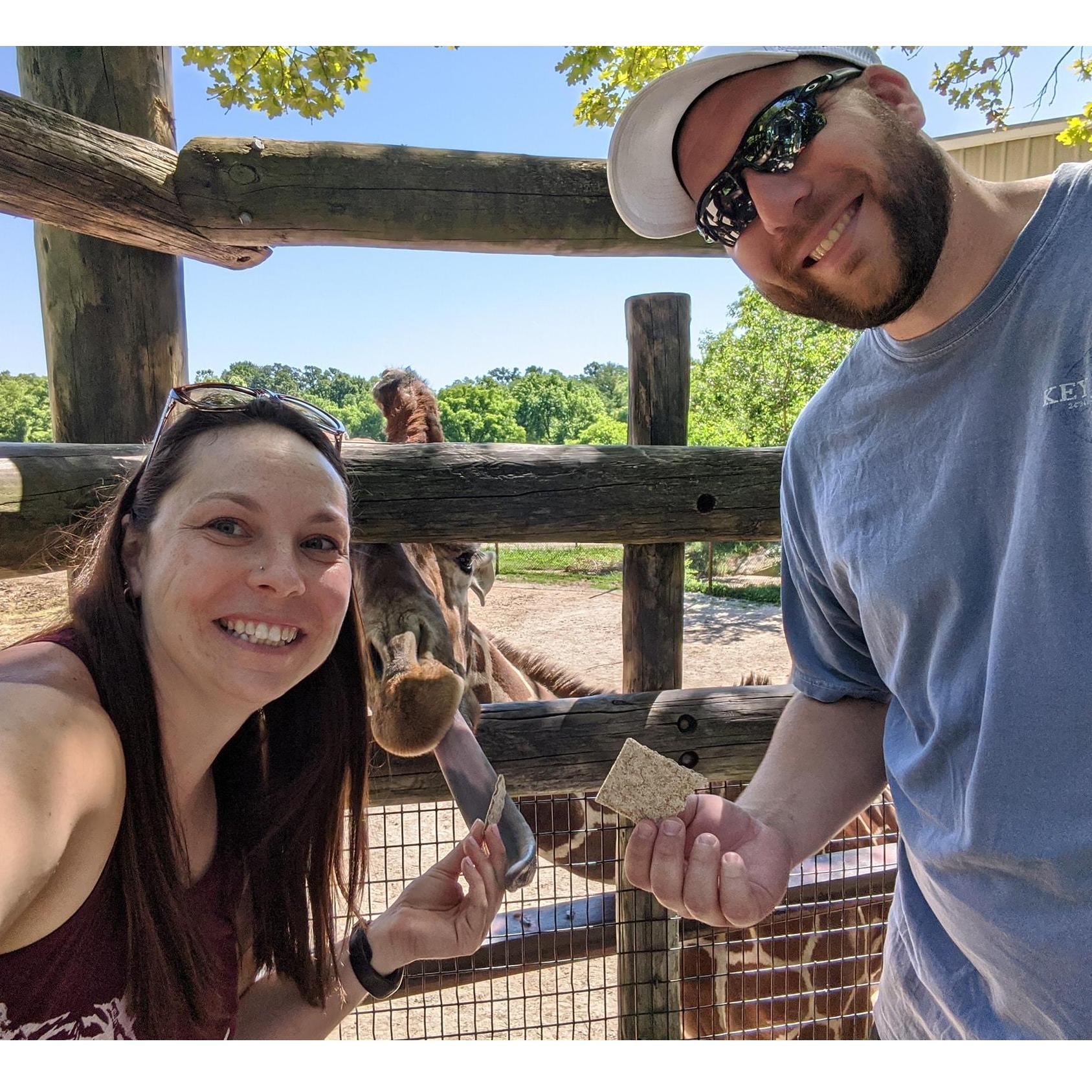 Patrick is a great sport about visiting zoos with Amy whenever the opportunity presents itself...this is at the Dickerson Park Zoo in Springfield, MO.