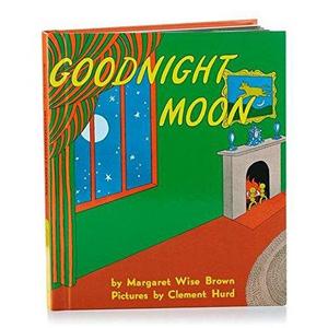 Recordable Storybooks