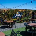 Braxton Brewing Company