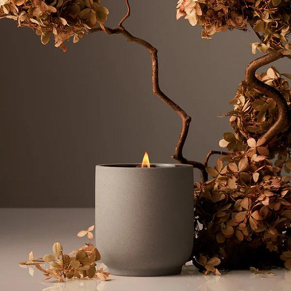 Candle (Cece)