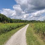 Frohring Meadows