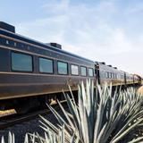 Jose Cuervo Tequila Train Tour