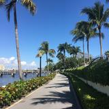 Palm Beach Lake Trail
