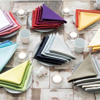 Confetti's Napkin, Set of 12