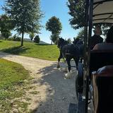 Hermann Farm Museum