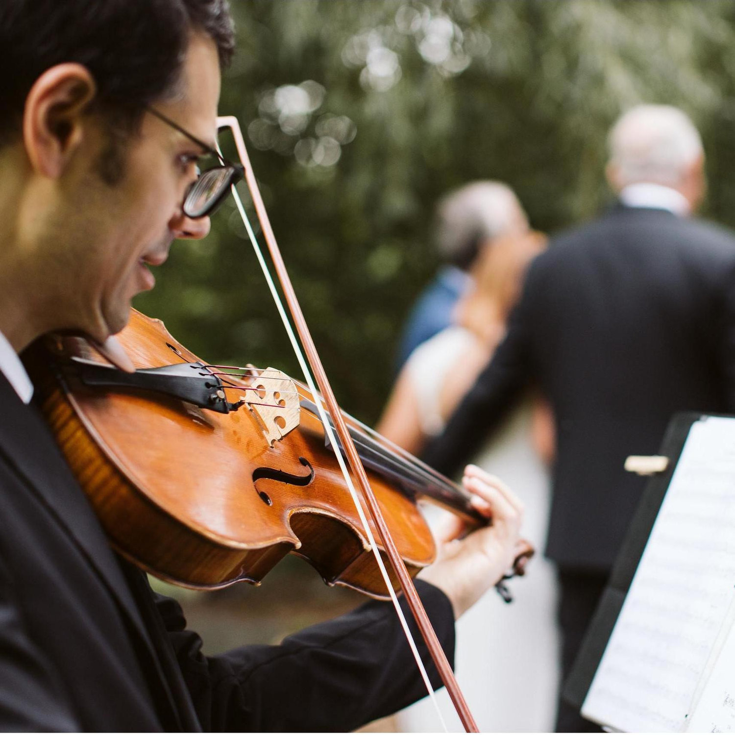 The musicians