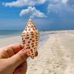 Sanibel Island