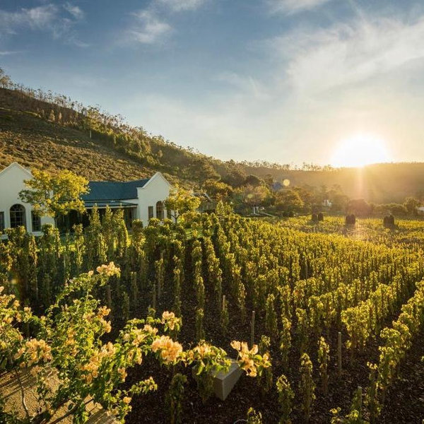 Franschhoek, South Africa Wine Tasting For Two