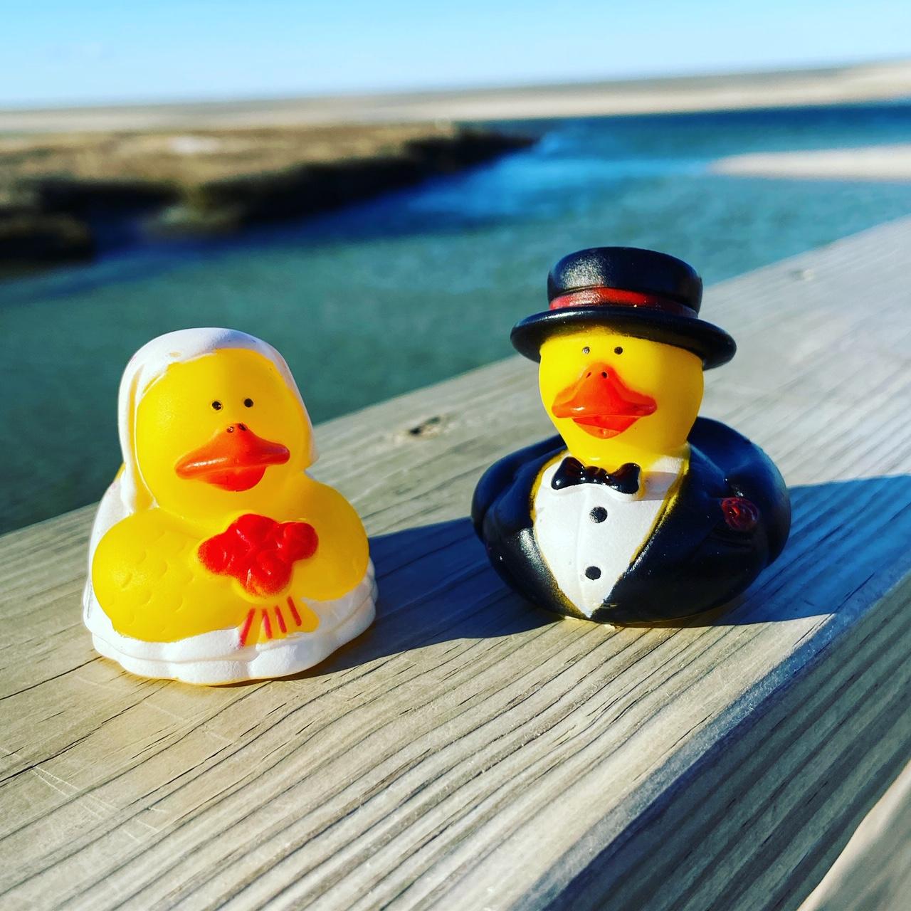 The Wedding Website of Alex Duckles and Monica Powell