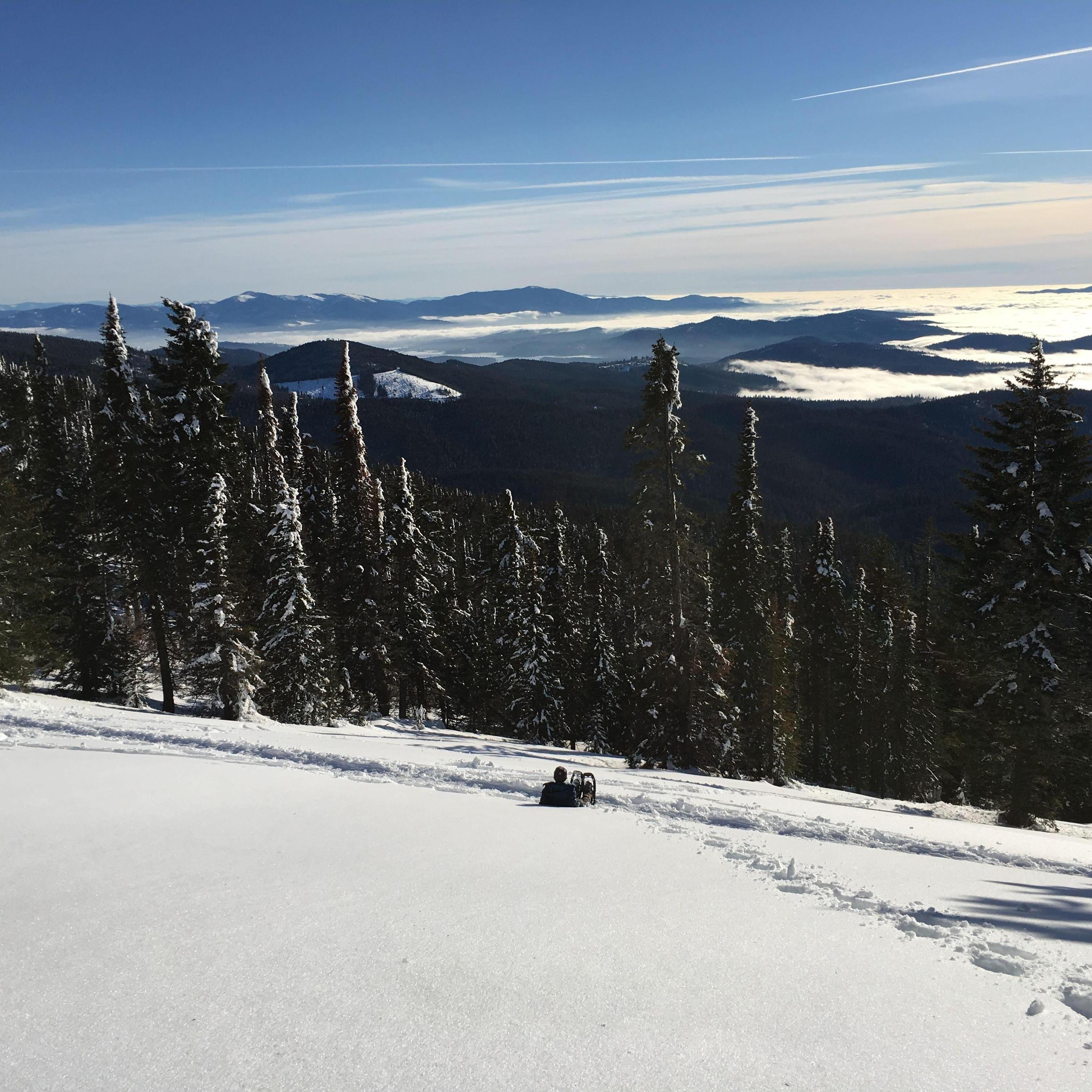 Aurora taking in the view. Mt. Spokane 2019.