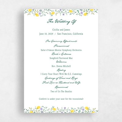 Multi-Colored Wedding Program - Brume
