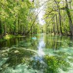 Ichetucknee Springs State Park