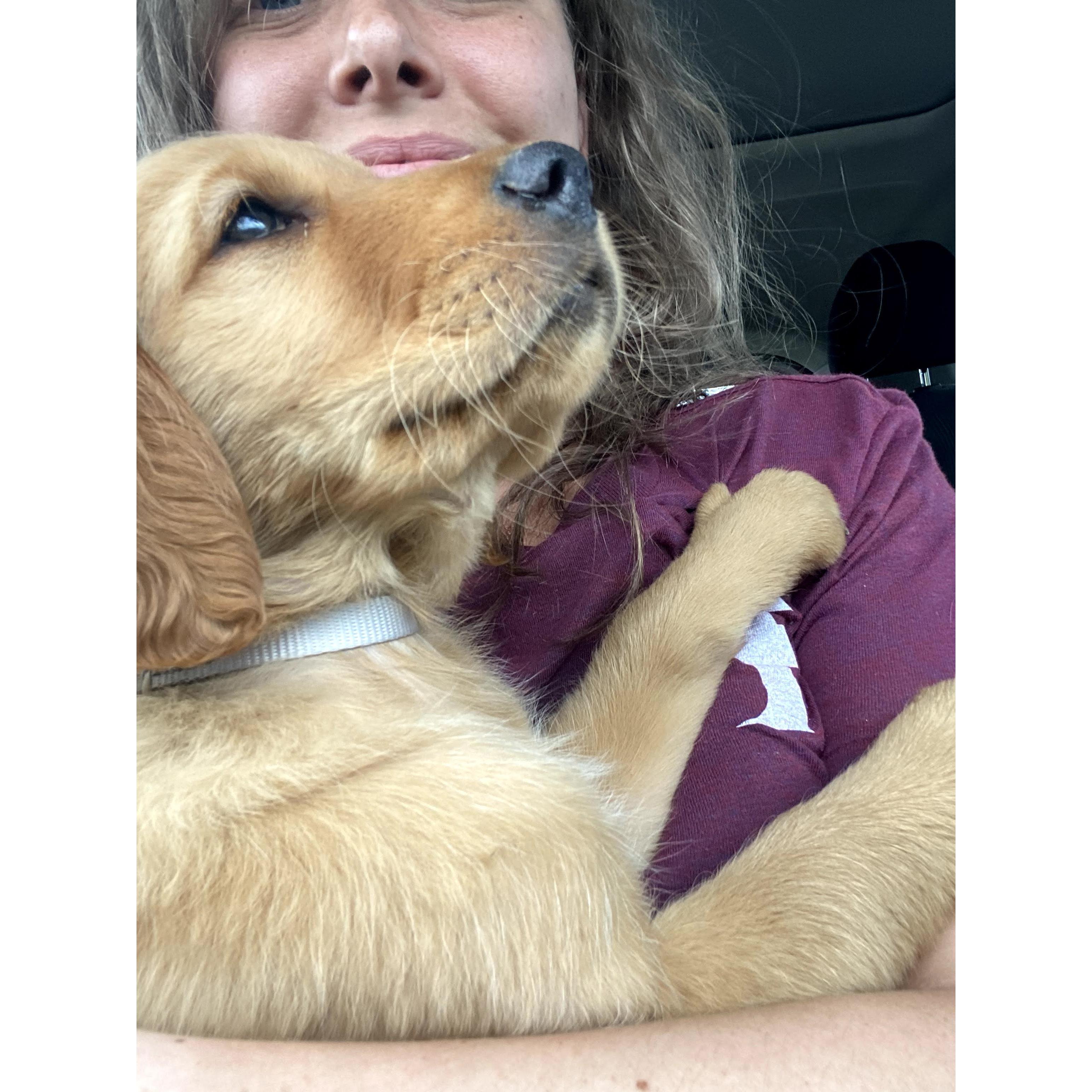 begged nick for a puppy for weeks, finally picked up our new pup - FRANKIE