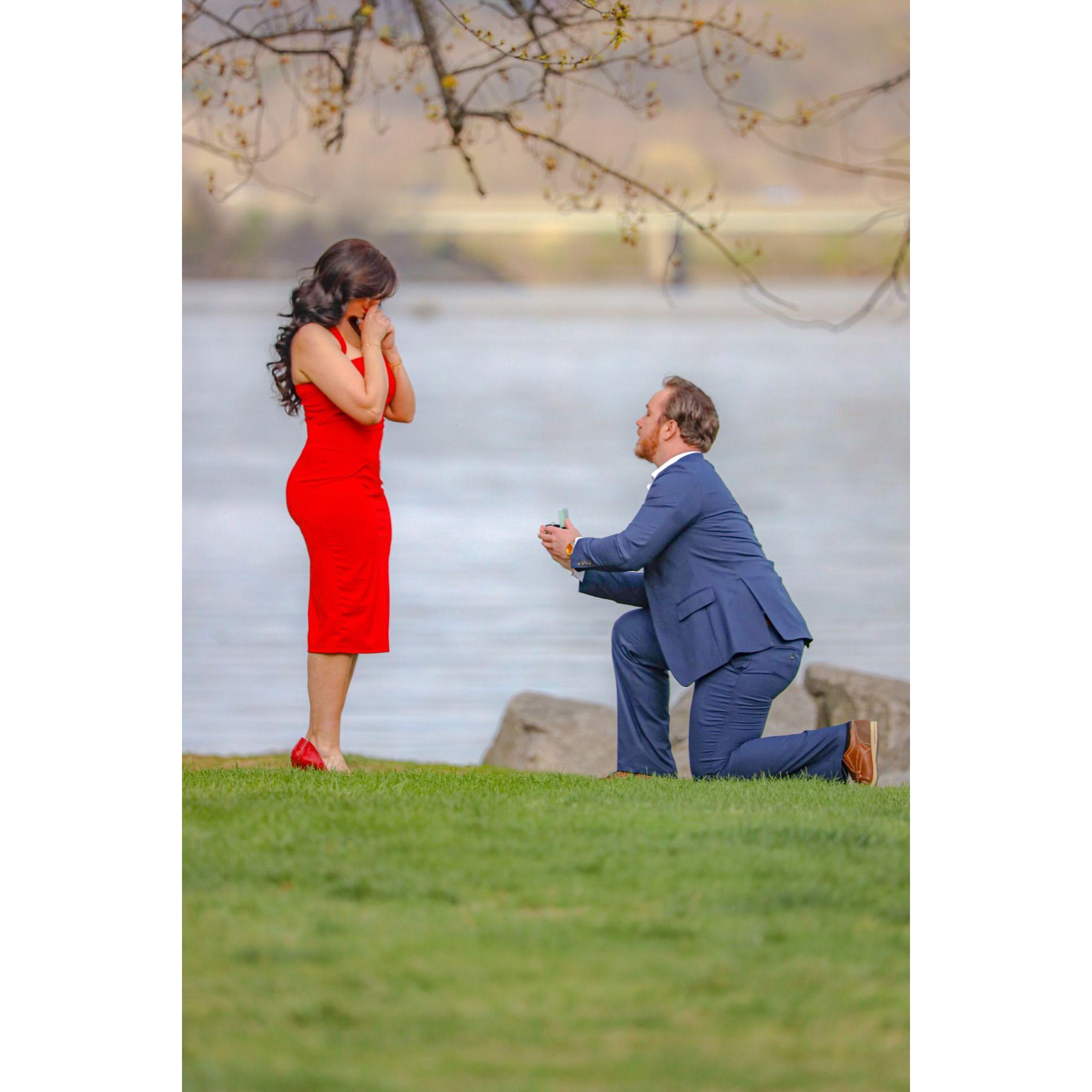March 31st the proposal