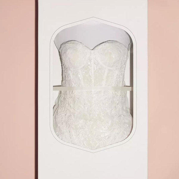 Wedding Dress Preservation