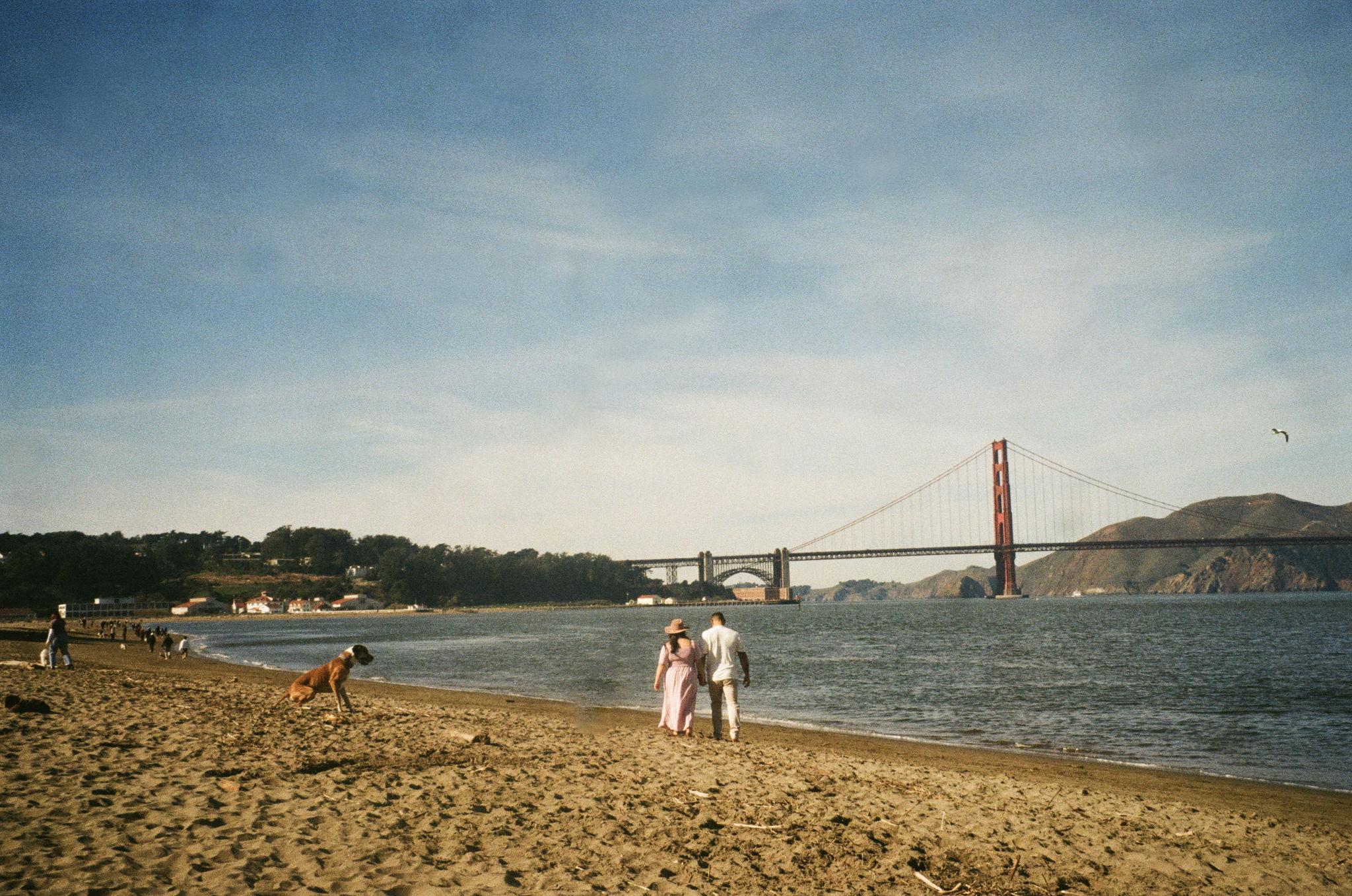 a48d4a4e-52de-47e2-a7b8-c8b5b20d8fdd