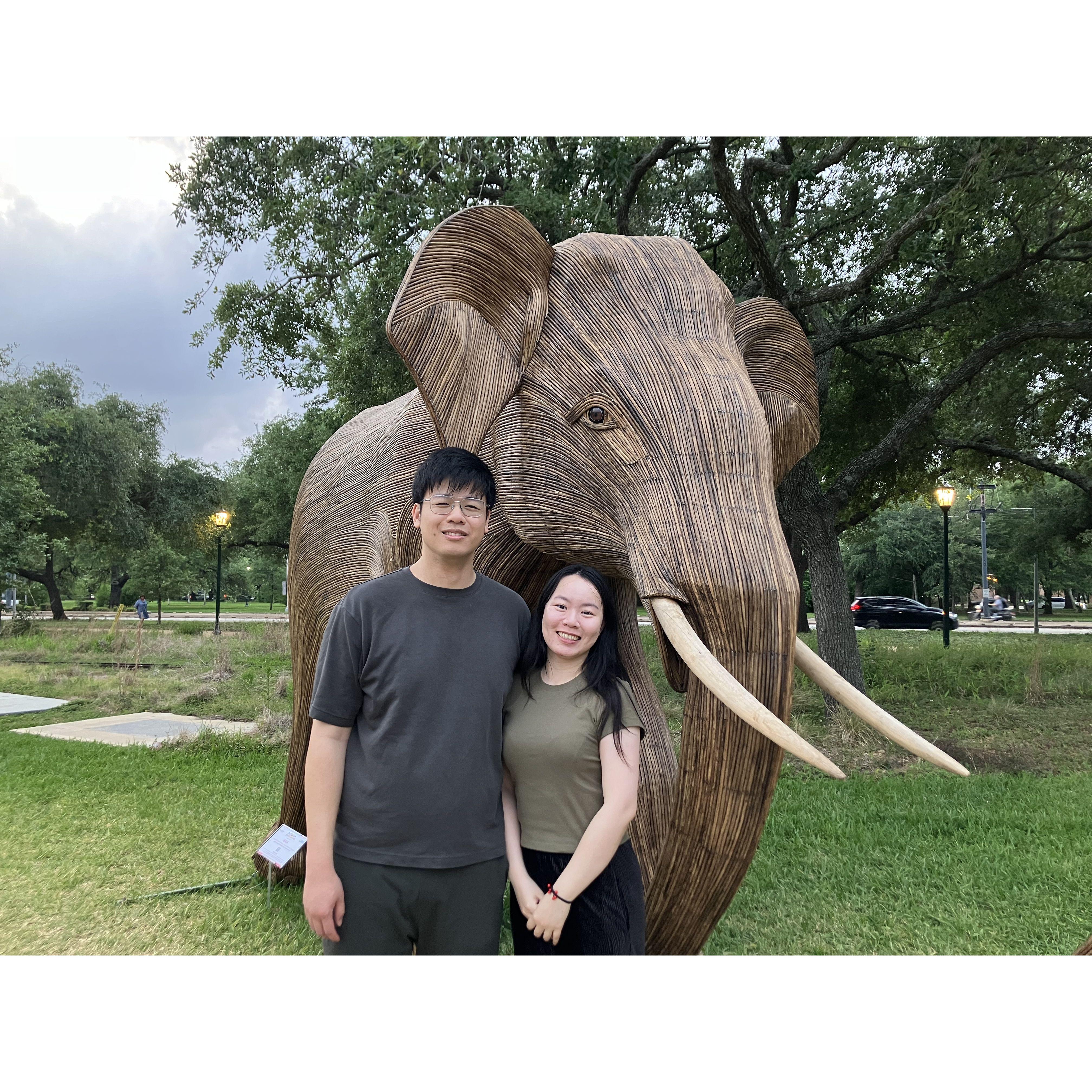 We went to see elephant sculptures at Hermann Park and went to Miller Outdoor Theatre in Houston