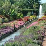 Culture: North Carolina Botanical Gardens
