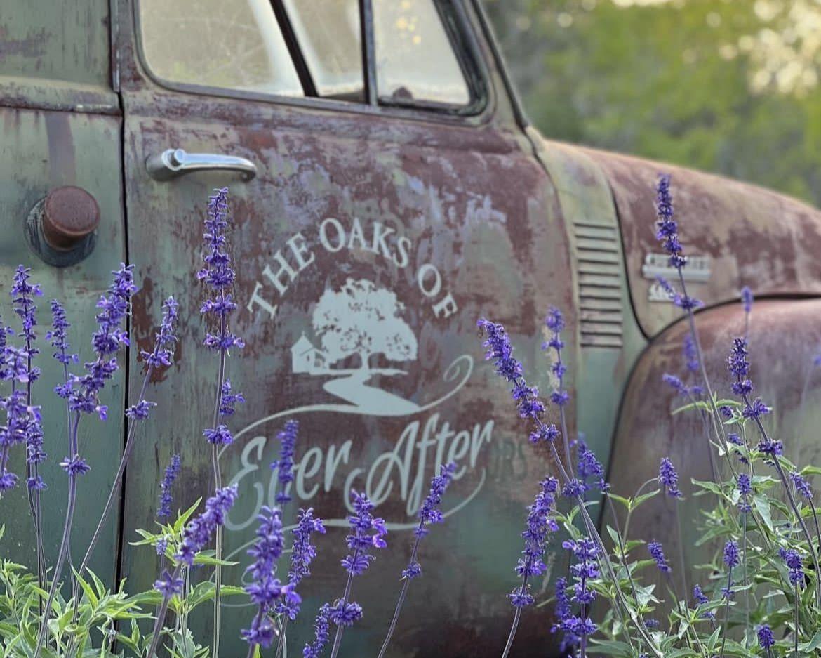 The Wedding Website of Ryan Cisneros and Irma Servellon