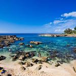 Shark’s Cove
