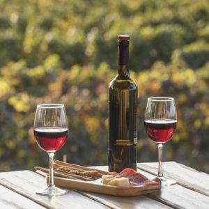 Wine Tasting in Kos