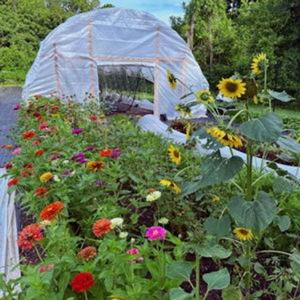 Our Future Homestead Endeavors
