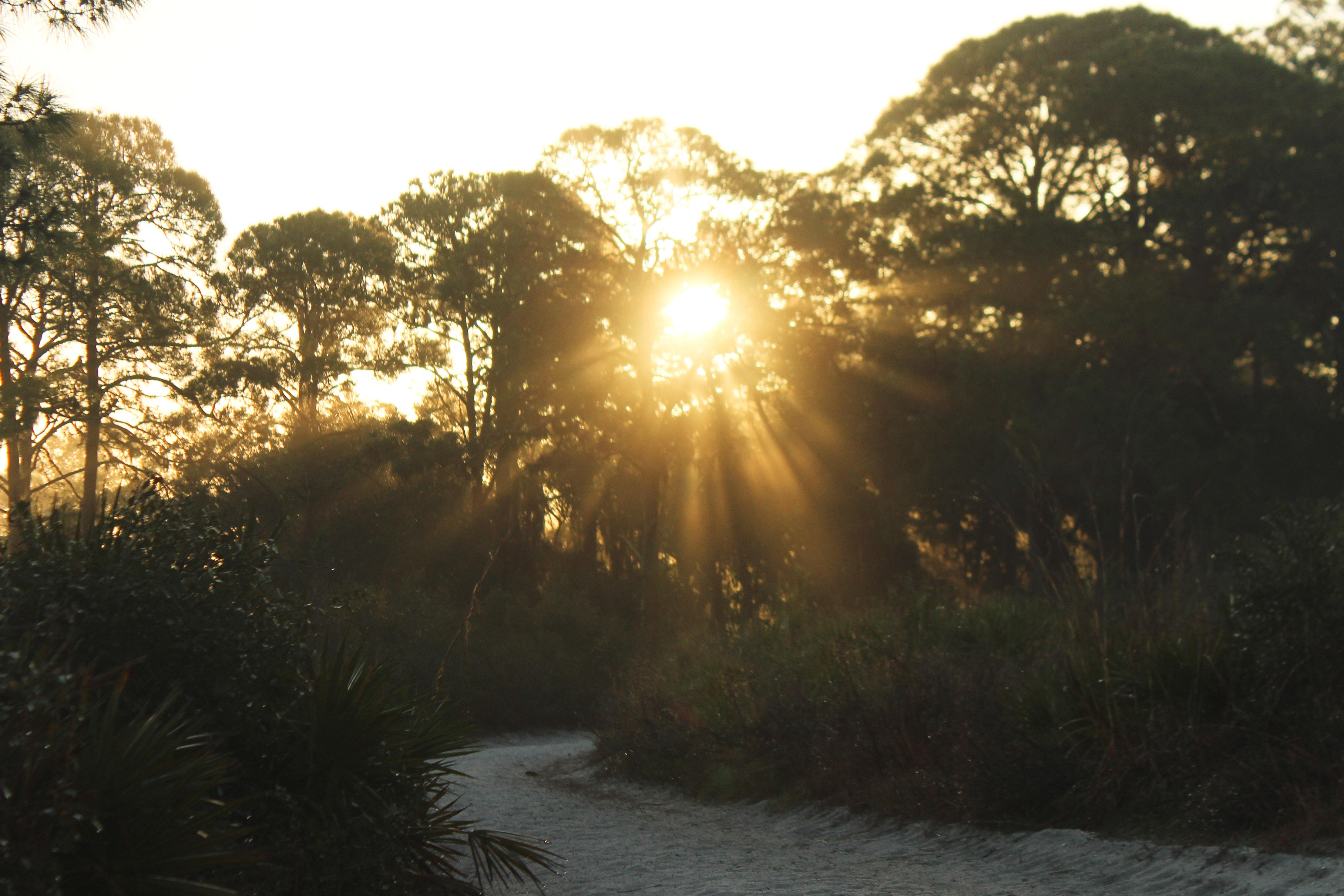 The Wedding Website of Derek Brinks and Careth Arnold