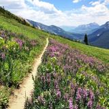 Hiking