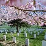 Arlington National Cemetery