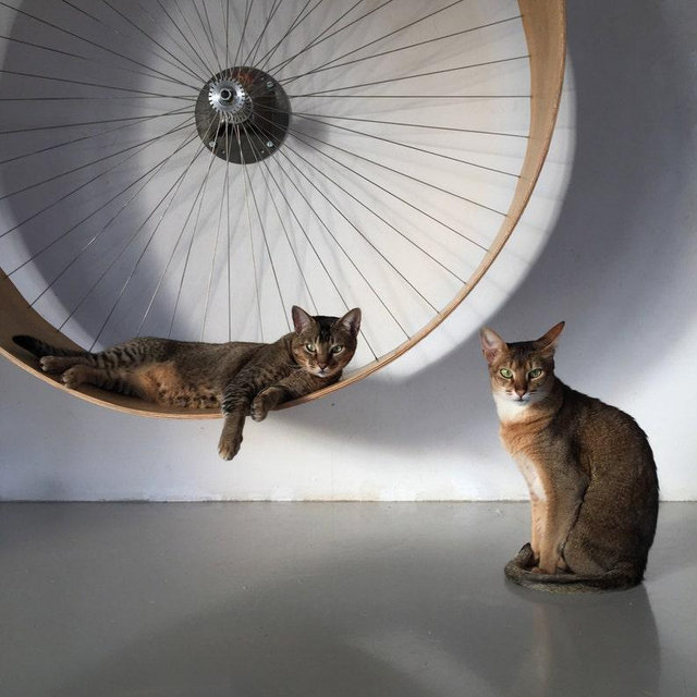 The wall cat's wheel by HolinDesign