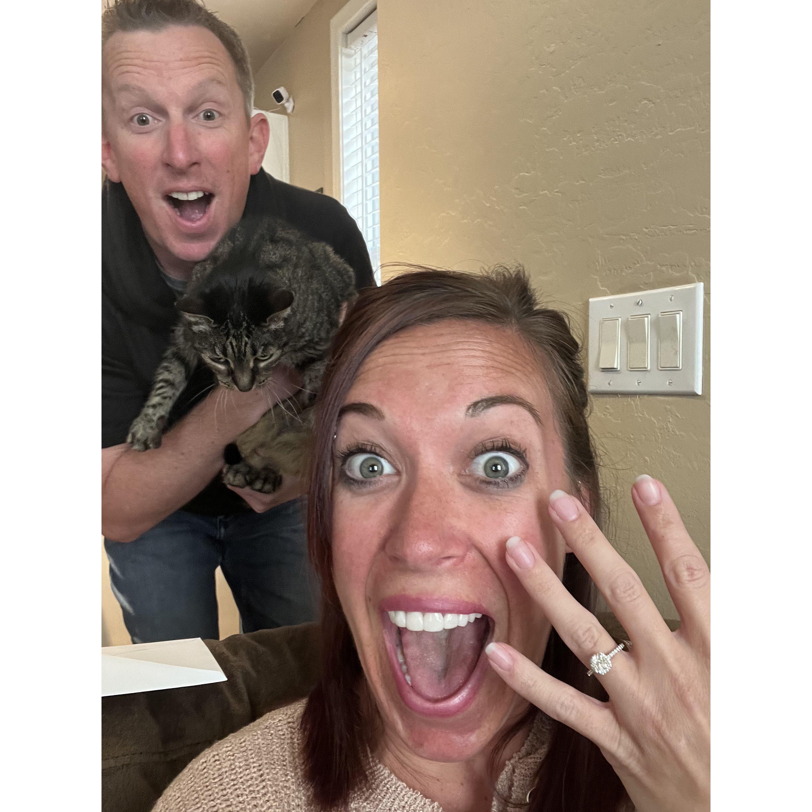 The perfect proposal. Beth couldn't have been more surprised. We were both ecstatic. And clearly Zin is, too.