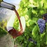 Wineries and Breweries