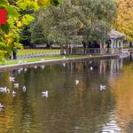 Saint Stephen's Green