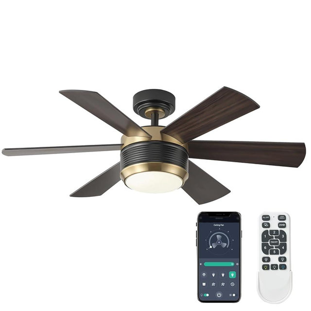 SHOWDI 42 Inch Ceiling Fan with Lights and Remote, 6 Blade App Control Timer Reversible Stepless Brightness and Color Temperature Outdoor Wood Ceiling Fan with Lights (Black-Gold, 42 Inch)