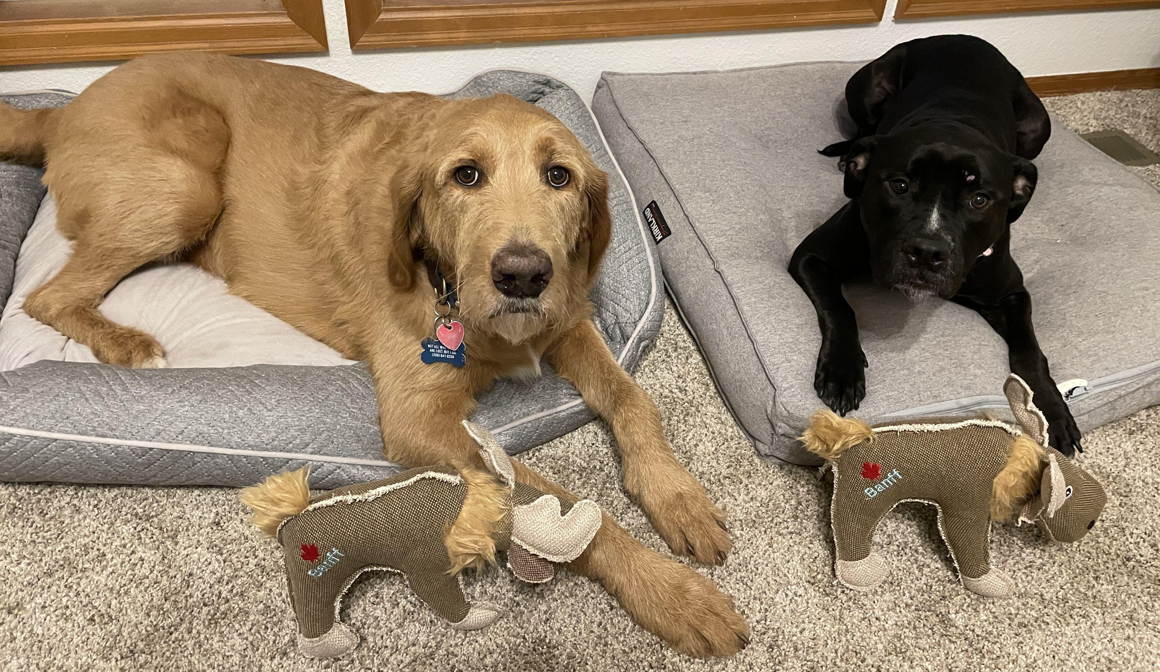 The Wedding Website of Sabrina Sherwood and Brendon Garcia