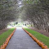 The Dallas Arboretum and Botanical Garden