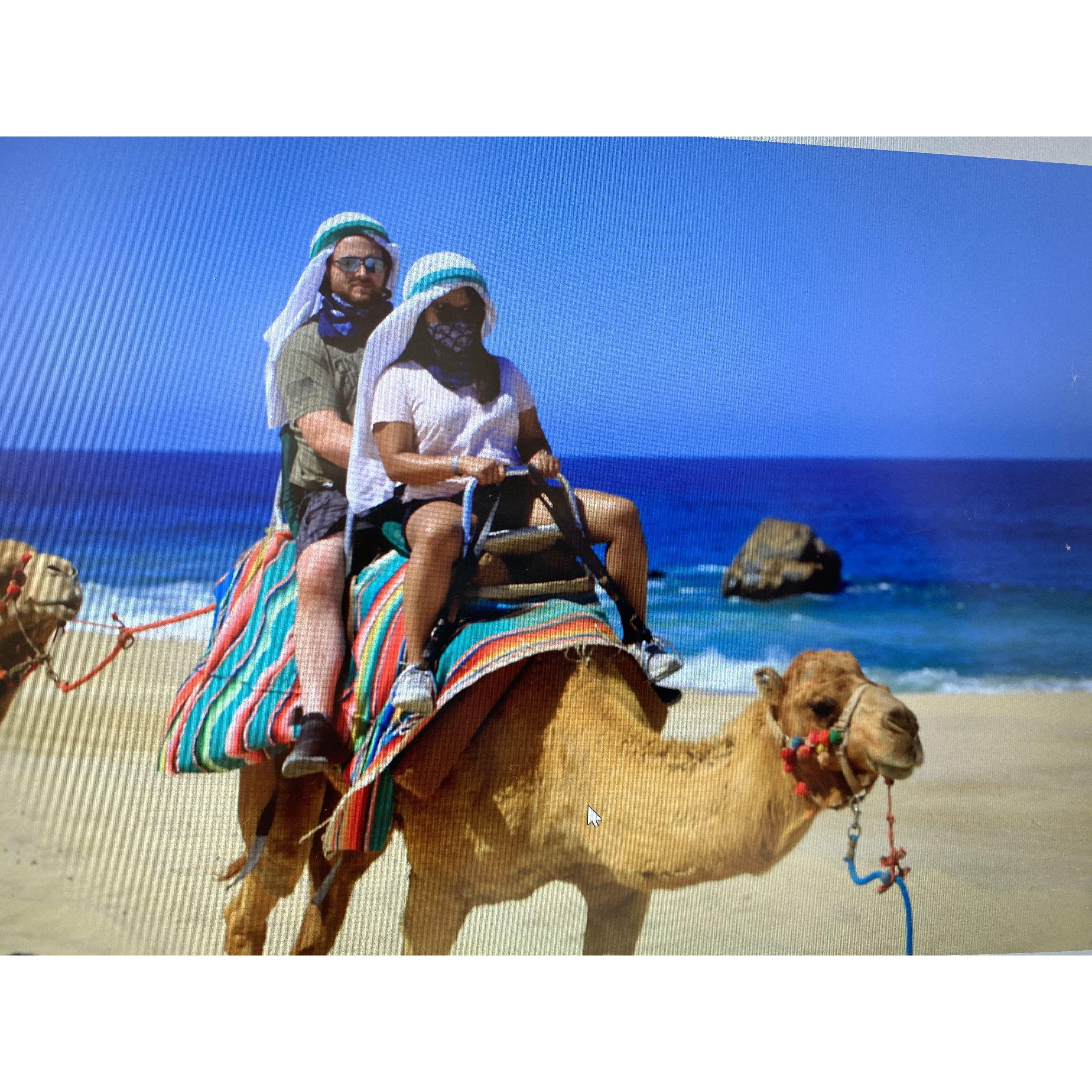our first Camel Ride in Cabo, Mexico