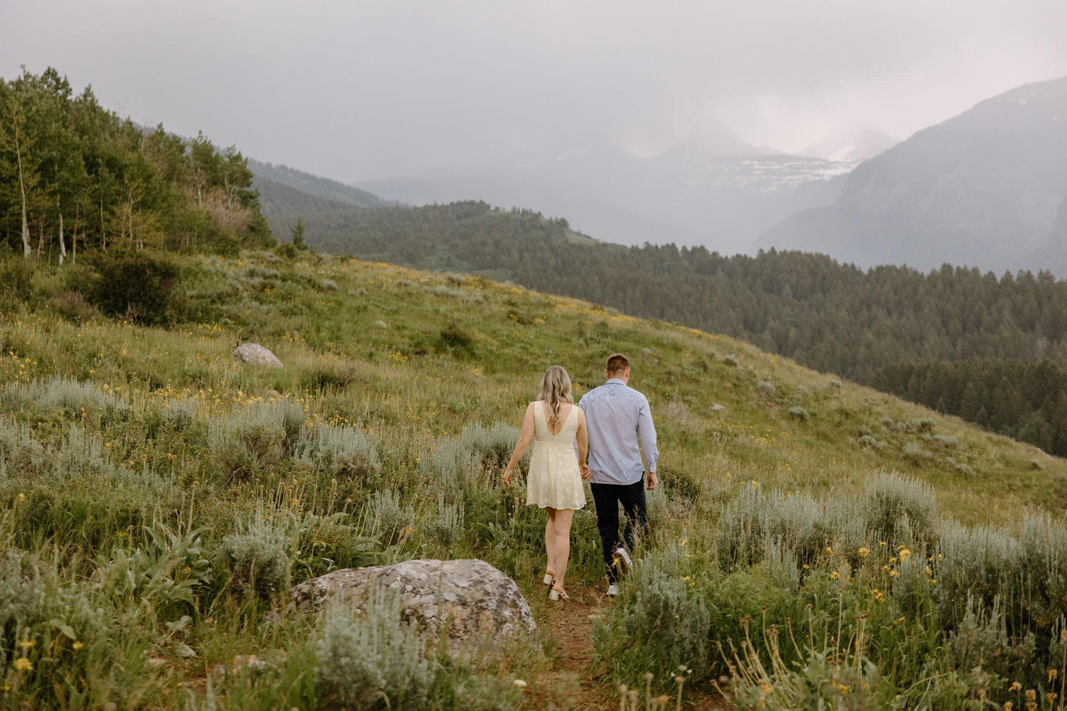 The Wedding Website of Amanda McDowell and Andrew Figueiredo