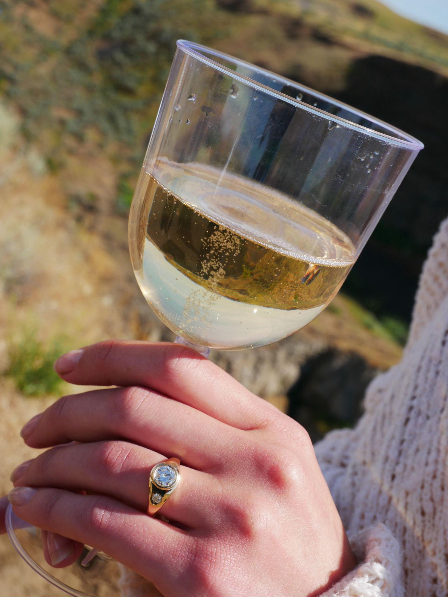 The Wedding Website of Emerson Warren and Vivian LaCerda