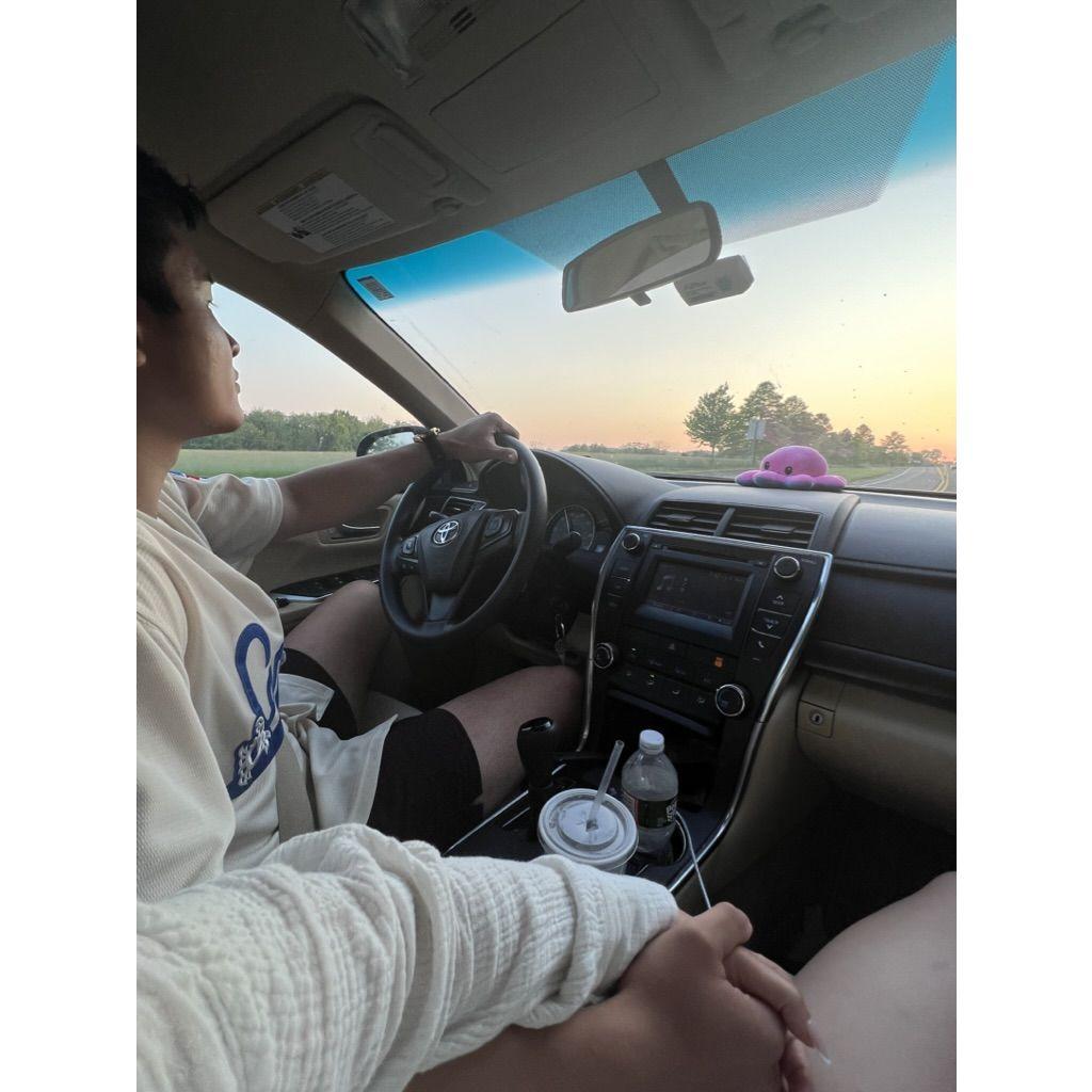 Professional passenger princess