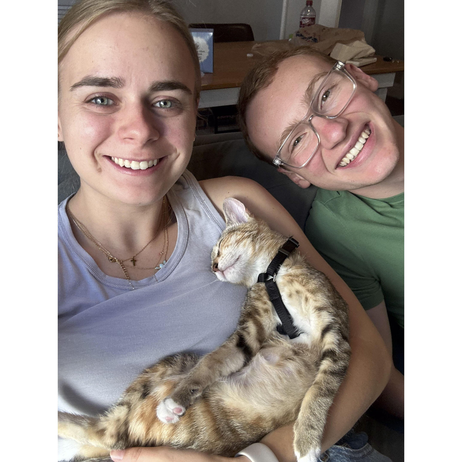 Enjoying snuggles from our new kitten Phoebe.