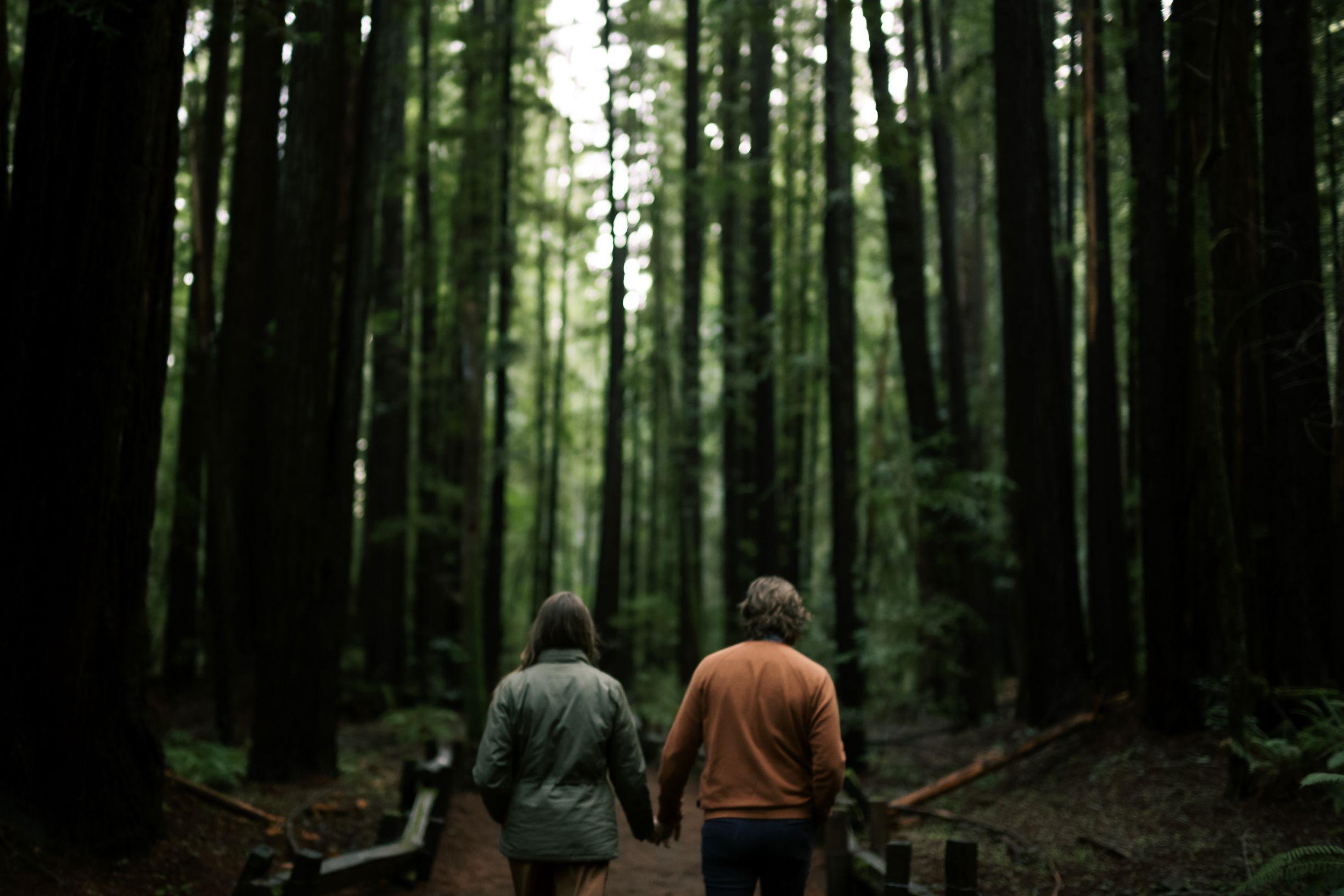 The Wedding Website of Krista Catelani and Cameron Vance