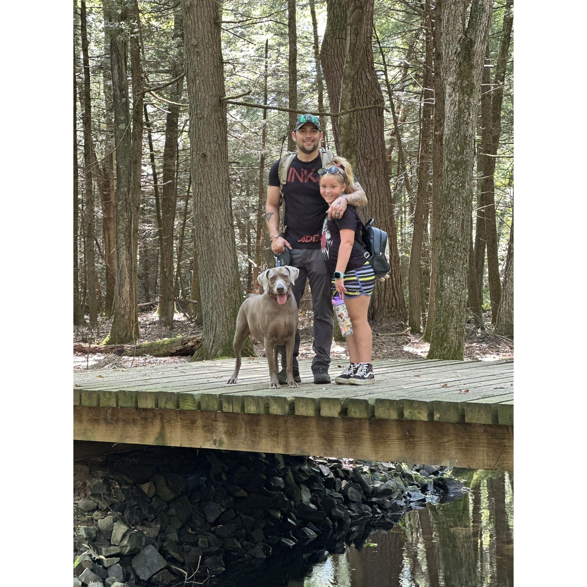Family Hikes