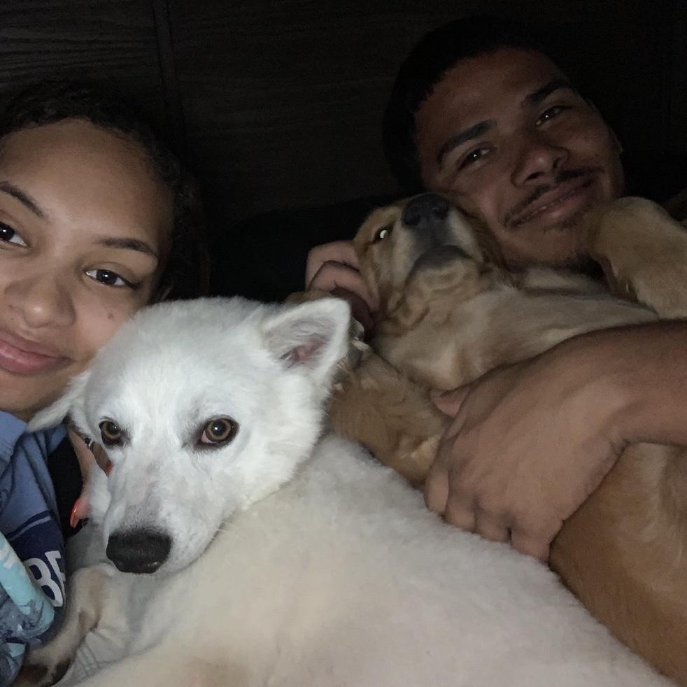 Adopted our furr babies 2019