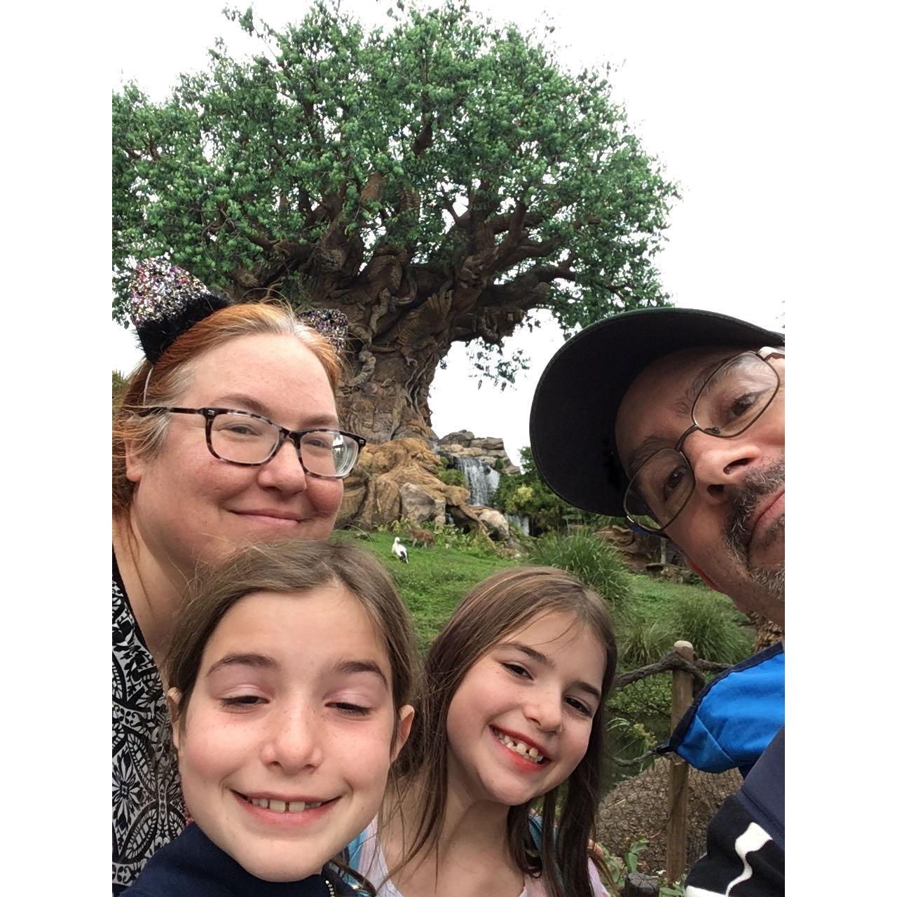 At Disney