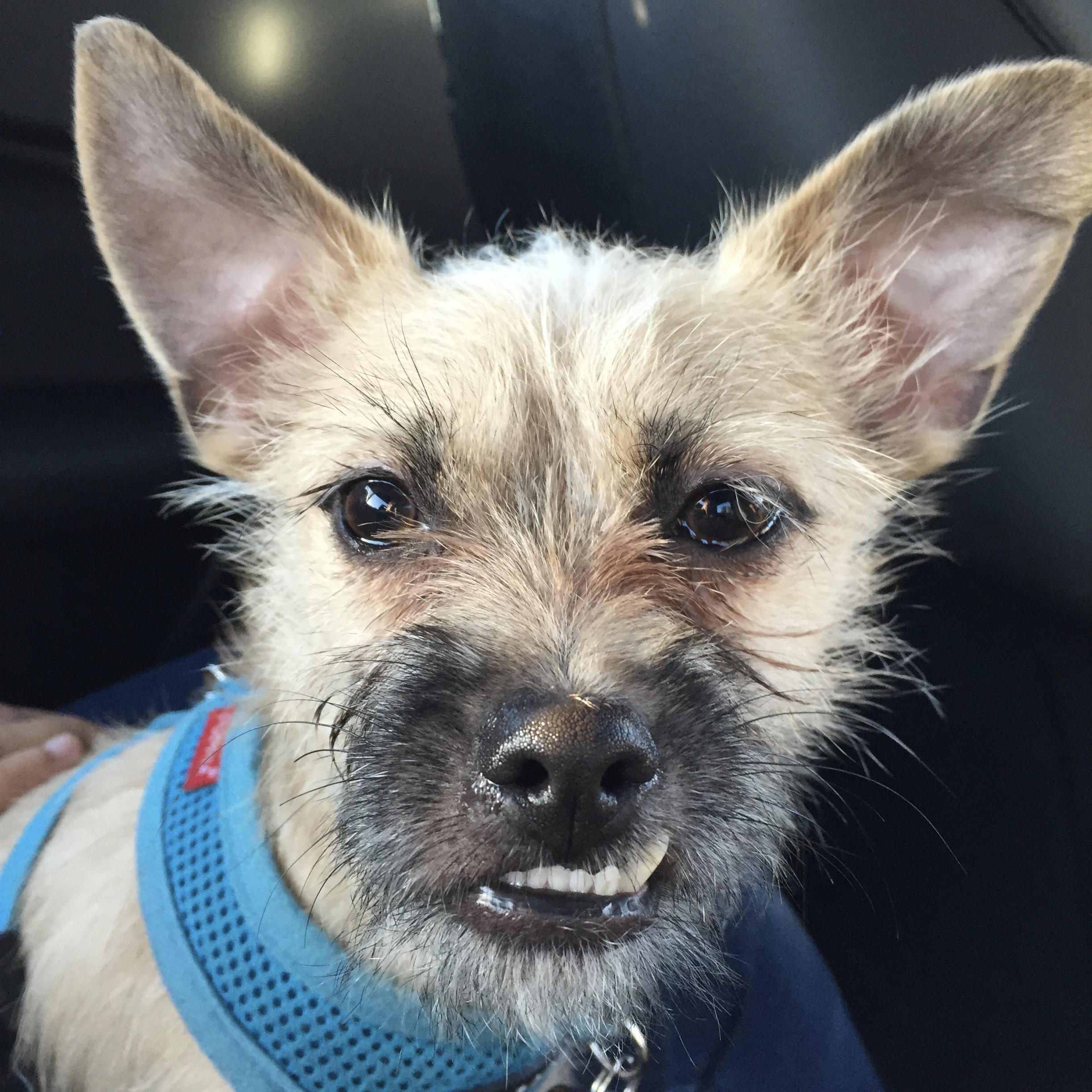 Yikes. A "not-so-great" close up of Giz. Whoops! lol