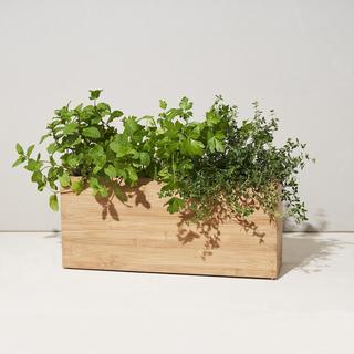 Smart Hydroplanter